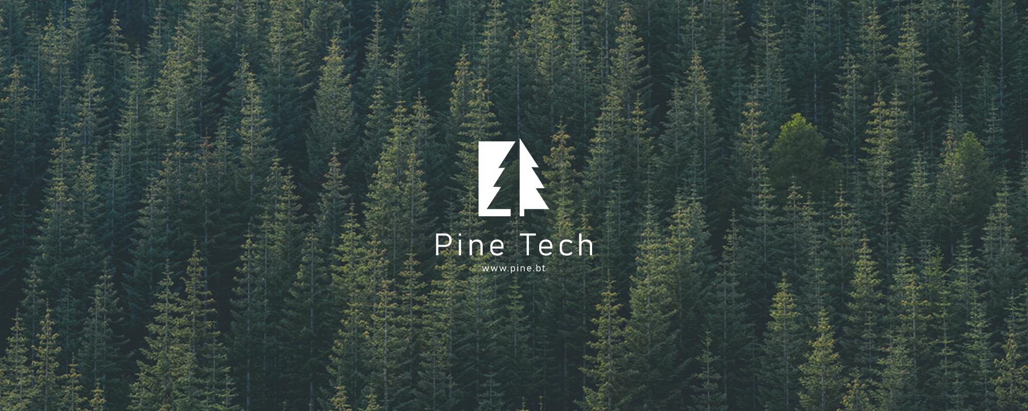 Professional Website Design